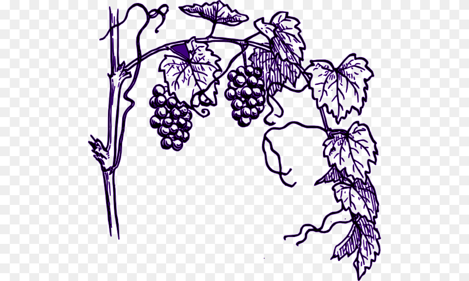 Transparent Grape Clipart Vineyard Clipart, Food, Fruit, Grapes, Produce Png