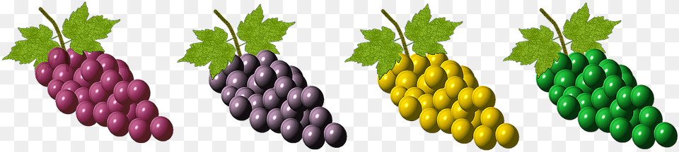 Transparent Grapes Vector Grape, Food, Fruit, Plant, Produce Free Png Download