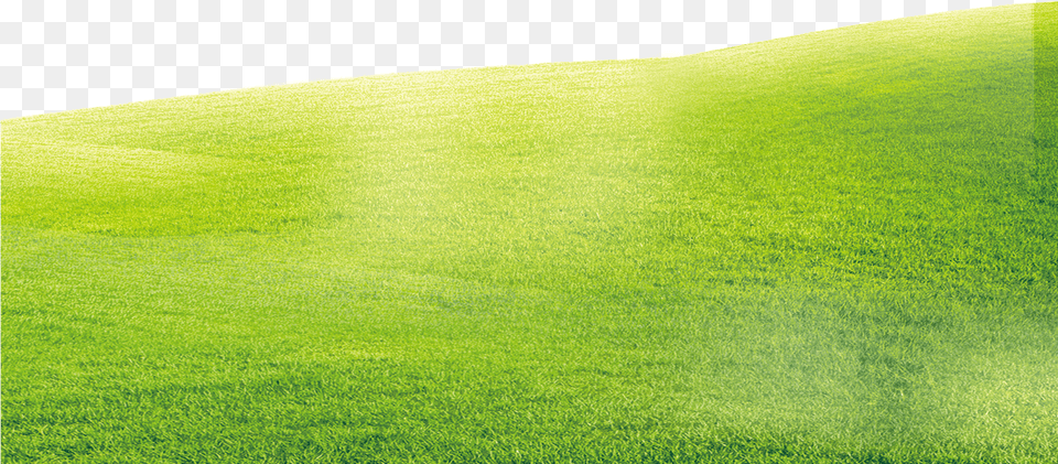 Transparent Grass Background Lawn, Green, Plant, Field, Grassland Free Png Download