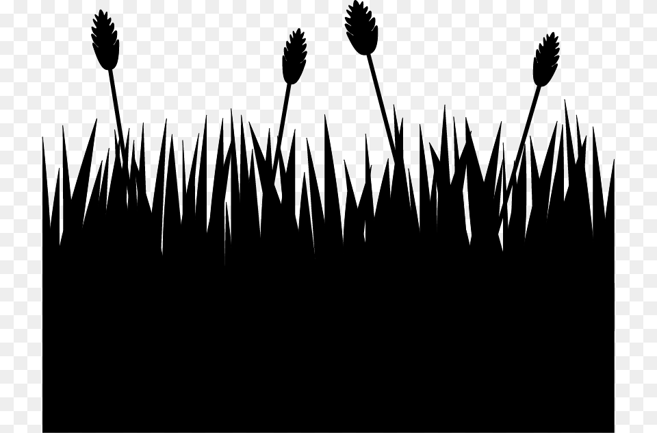 Grass Clipart Silhouette Flower Field Silhouette, Plant Free Transparent Png