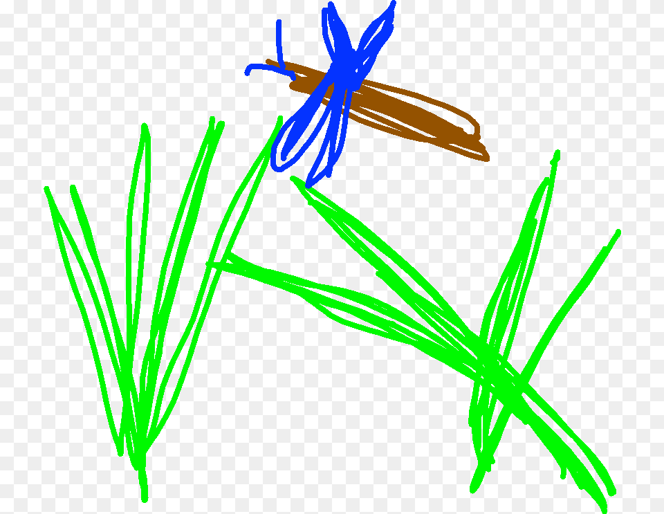 Transparent Grass Drawing Illustration, Light Png Image