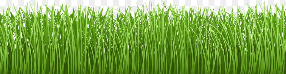 Transparent Grass Vector Grass Ground Transparent Png