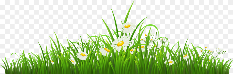 Grass With Chamomile Clipart Butterfly Cartoon Gif Daisy, Flower, Green, Plant Free Transparent Png