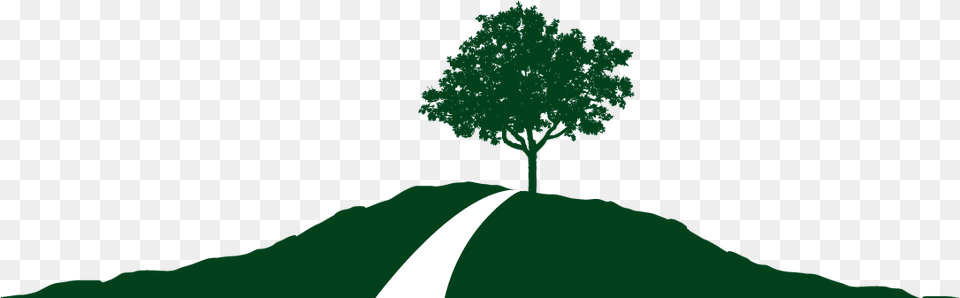 Transparent Grassy Hill, Tree, Sycamore, Green, Oak Png Image