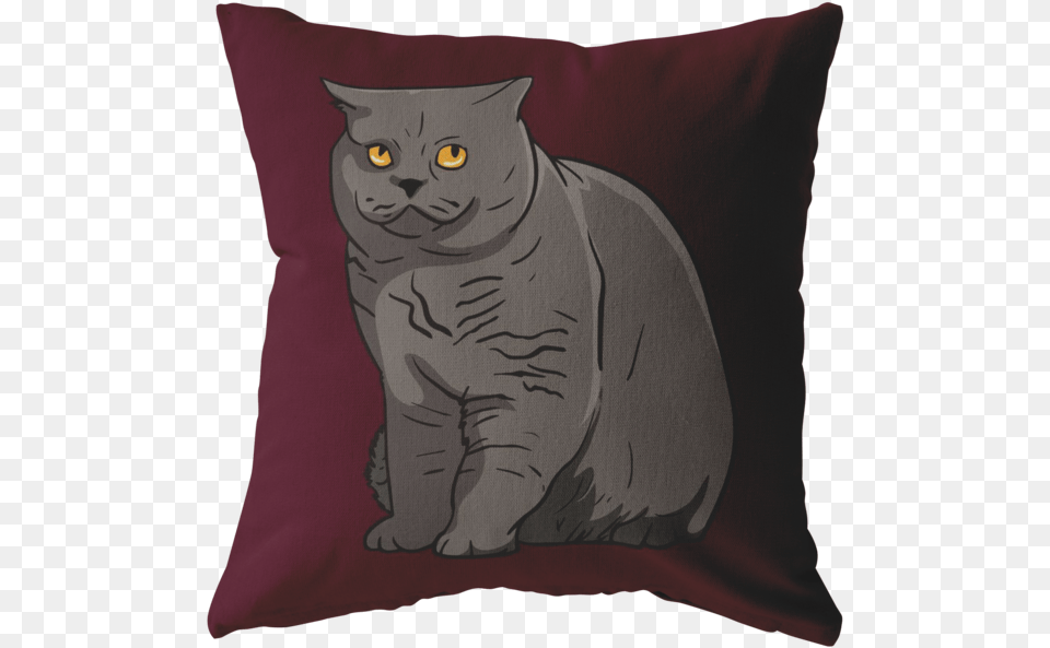 Transparent Gray Cat Black Cat, Cushion, Home Decor, Pillow, Baby Png Image