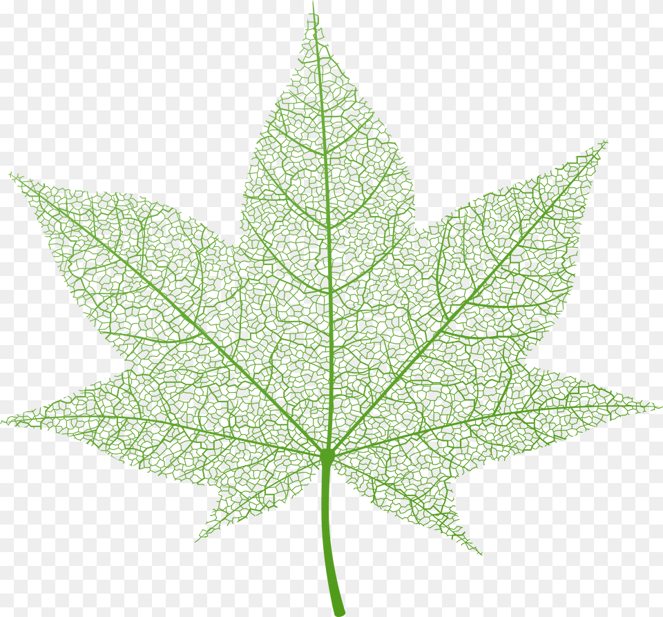 Transparent Green Autumn Leaf Clip Art Portable Network Graphics, Plant, Tree, Maple, Maple Leaf Png