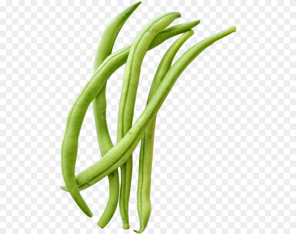 Transparent Green Bean Clipart Garden Beans Clipart, Food, Plant, Produce, Vegetable Free Png Download