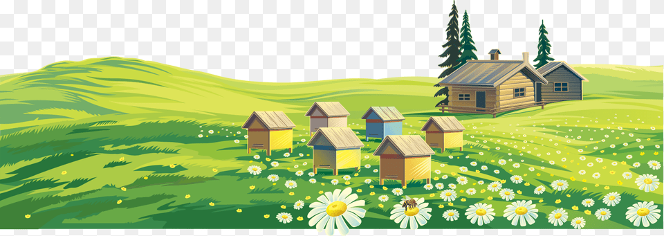 Transparent Green Grass Clipart Rural Landscape, Architecture, Building, Countryside, Outdoors Png Image