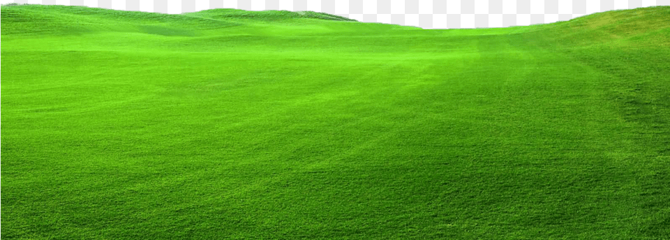 Transparent Green Grass Top Turf Lawn Care And Pest Lawn, Field, Plant, Outdoors, Nature Png Image