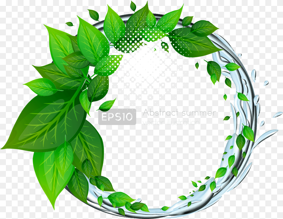 Transparent Green Leaf, Herbal, Herbs, Plant, Art Png