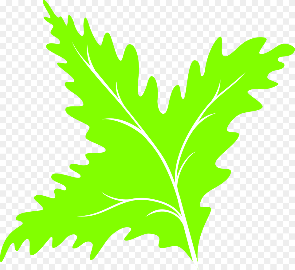 Transparent Green Leaf Icon Clip Art, Plant, Arugula, Food, Leafy Green Vegetable Free Png