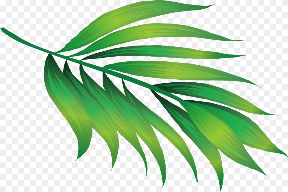 Transparent Green Leaf Icon Plant, Art, Graphics, Floral Design, Pattern Free Png Download