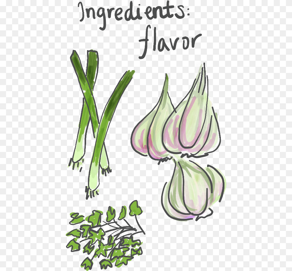 Transparent Green Onion Green Onion Draw, Food, Produce, Herbs, Herbal Png