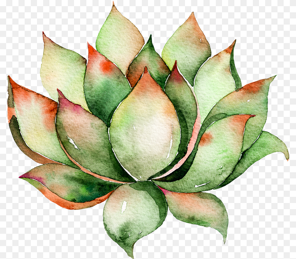 Transparent Green Plants Watercolor Succulent, Leaf, Plant, Art, Floral Design Free Png Download