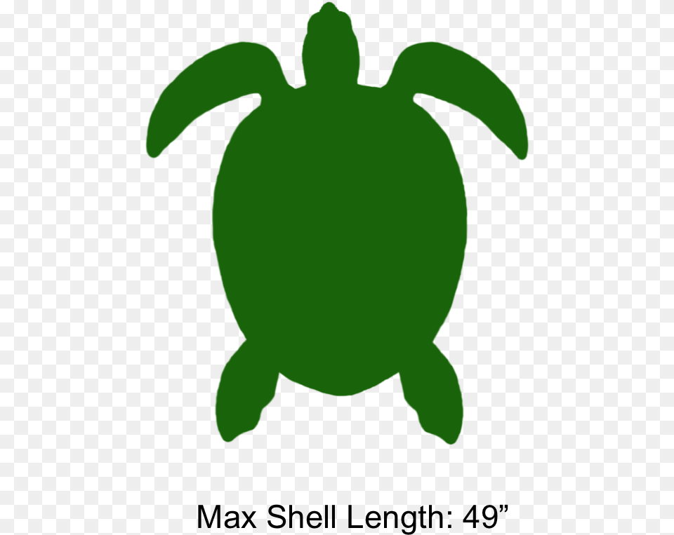 Transparent Green Sea Turtle Clipart Green Sea Turtle, Animal, Reptile, Sea Life, Sea Turtle Free Png Download
