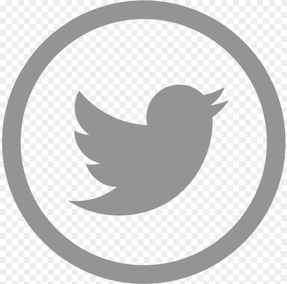 Transparent Grey Twitter Logo Twitter Icon Small, Animal, Fish, Sea Life, Shark Png Image