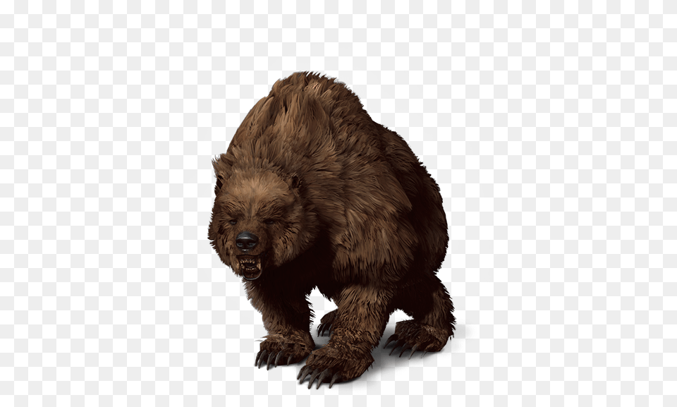 Transparent Grizzly Bear Bear The Witcher, Animal, Mammal, Wildlife, Brown Bear Png