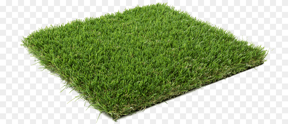 Transparent Ground Cover 2 Synthetic Grass Lawn Dark, Moss, Plant, Vegetation Free Png Download