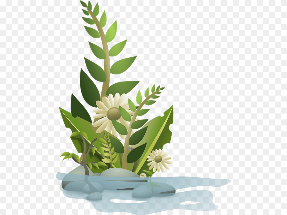 Transparent Growing Clipart Plant Clip Art, Herbs, Herbal, Graphics, Flower Arrangement Free Png