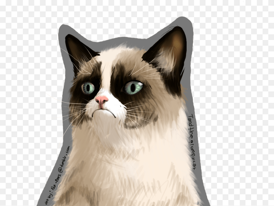 Transparent Grumpy Cat, Animal, Mammal, Pet Free Png