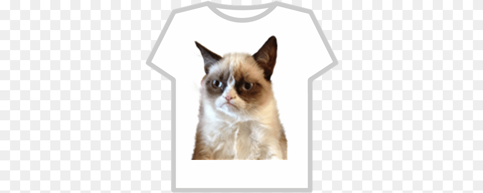 Transparent Grumpy Cat Roblox Cat Face, Animal, Mammal, Pet, Siamese Png
