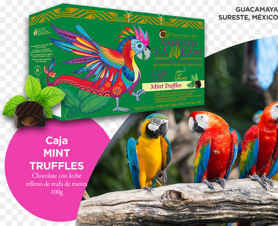 Transparent Guacamaya Macaw, Animal, Bird, Chicken, Fowl Png Image