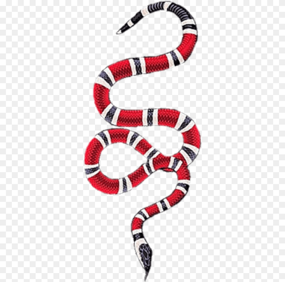 Transparent Gucci Snake, Animal, King Snake, Reptile, Ball Png Image