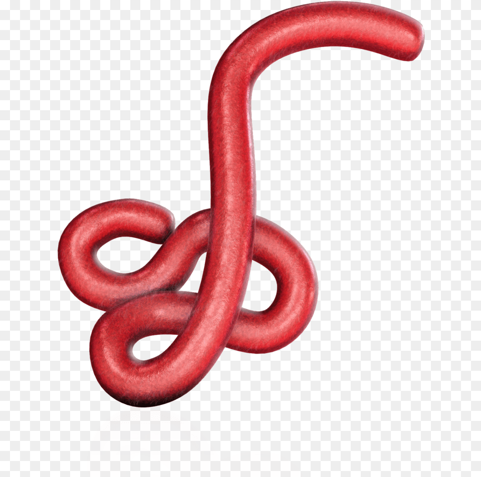 Transparent Gucci Snake Ebola Virus, Animal, Invertebrate, Worm, Smoke Pipe Free Png