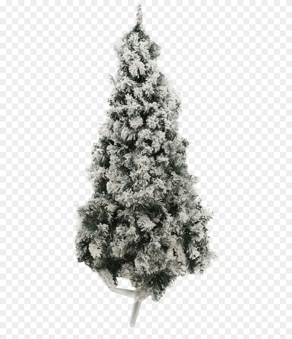Guirnaldas Christmas Tree, Plant, Fir, Pine, Christmas Decorations Free Transparent Png