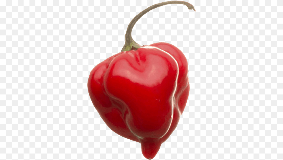 Transparent Habanero Pepper, Food, Produce, Bell Pepper, Plant Png