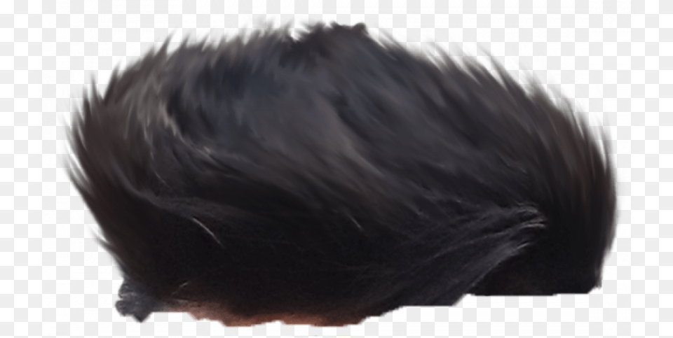 Transparent Hair, Baby, Person, Black Hair Png