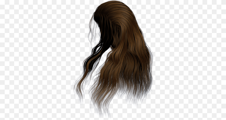 Transparent Hair Brown Long Hair Side, Adult, Female, Person, Woman Free Png Download