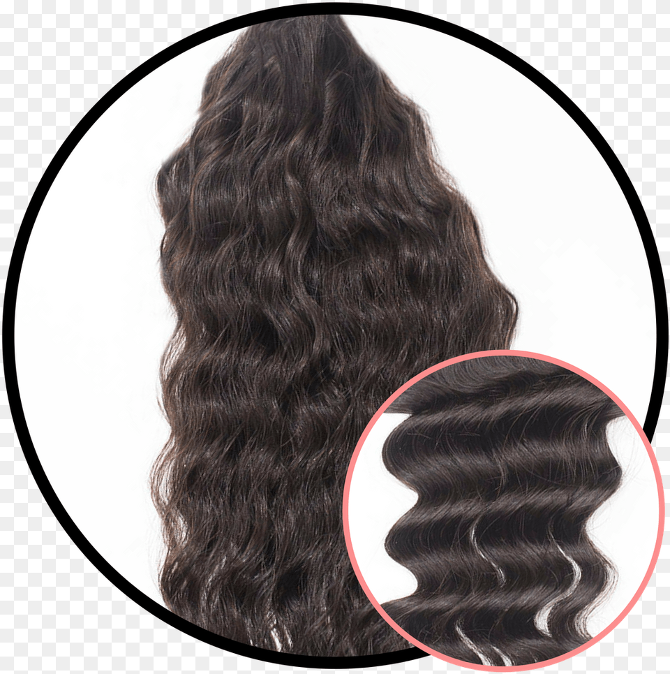 Hair Textures Lace Wig, Person, Adult, Female, Woman Free Transparent Png