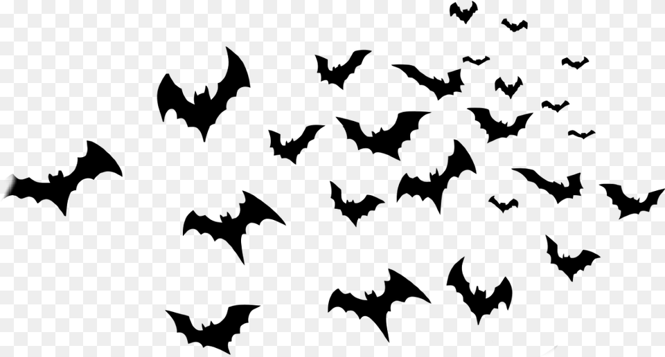 Transparent Halloween Bats Halloween Bats Free Png