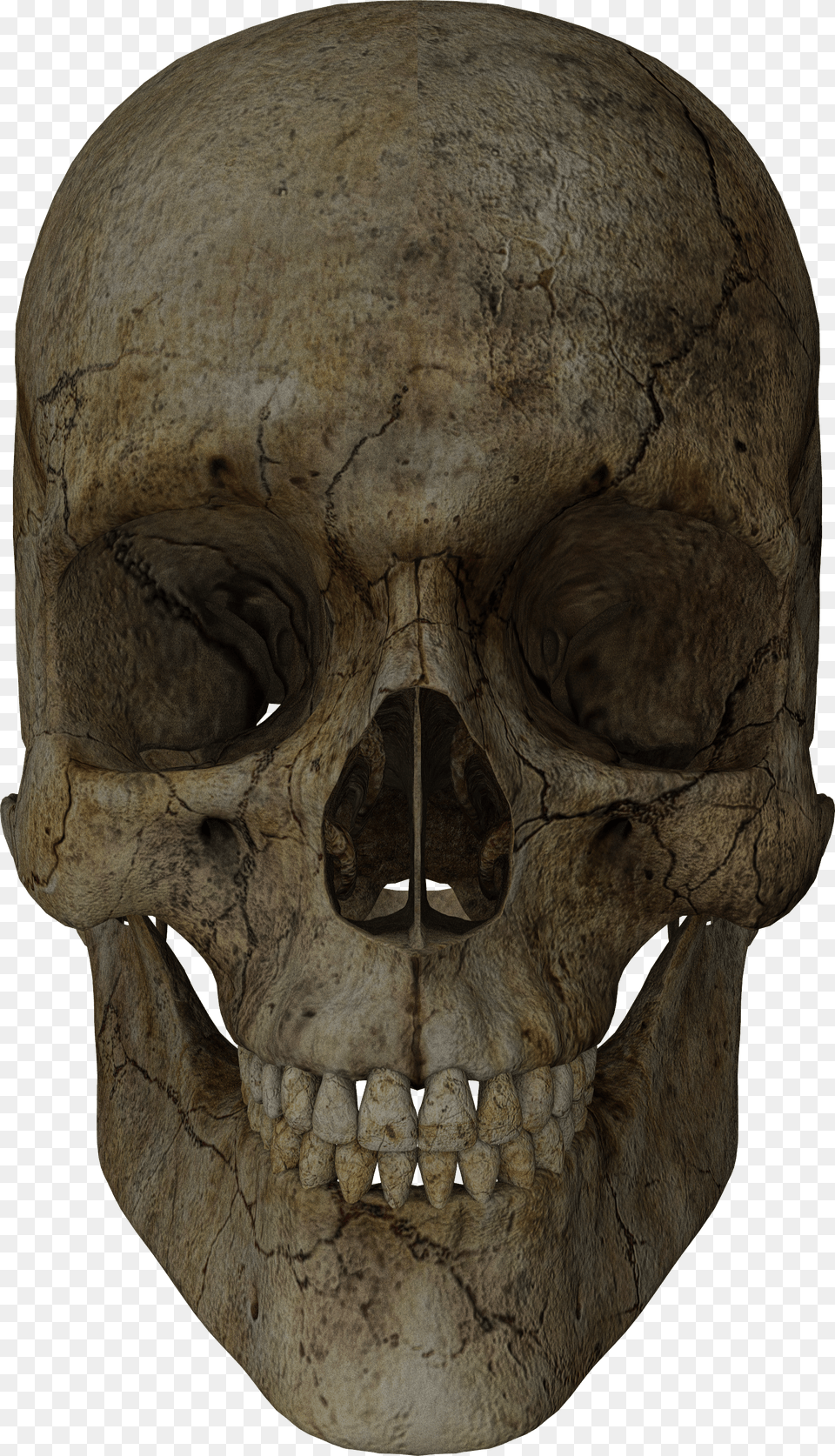 Transparent Halloween Skull Png