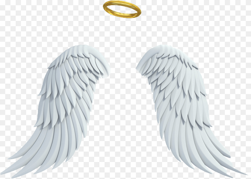 Transparent Halo Glowing Angel Wings, Accessories, Animal, Bird, Jewelry Png Image