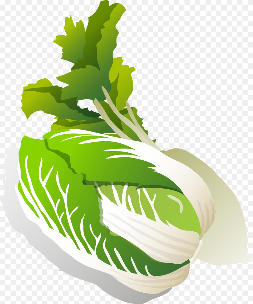 Transparent Hamantaschen Clipart Nabo En Hoja, Food, Produce, Leafy Green Vegetable, Plant Free Png
