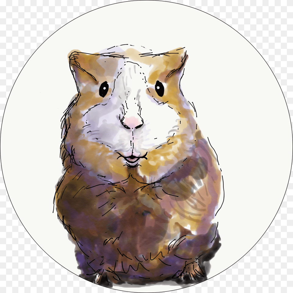 Transparent Hamster, Photography, Art, Animal, Mammal Free Png Download