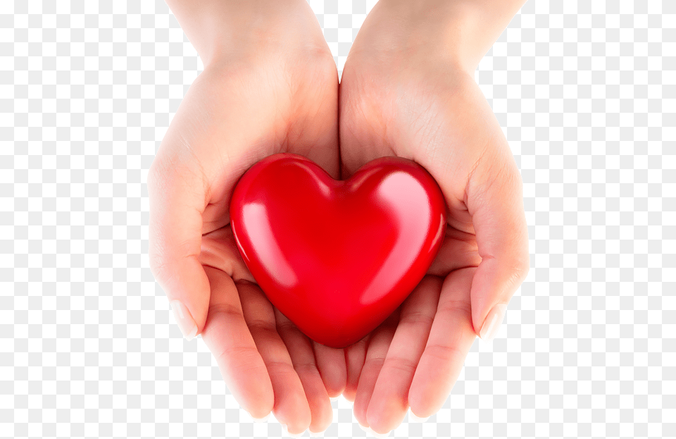 Hand Heart Heart In Hand, Symbol, Baby, Person, Love Heart Symbol Free Transparent Png