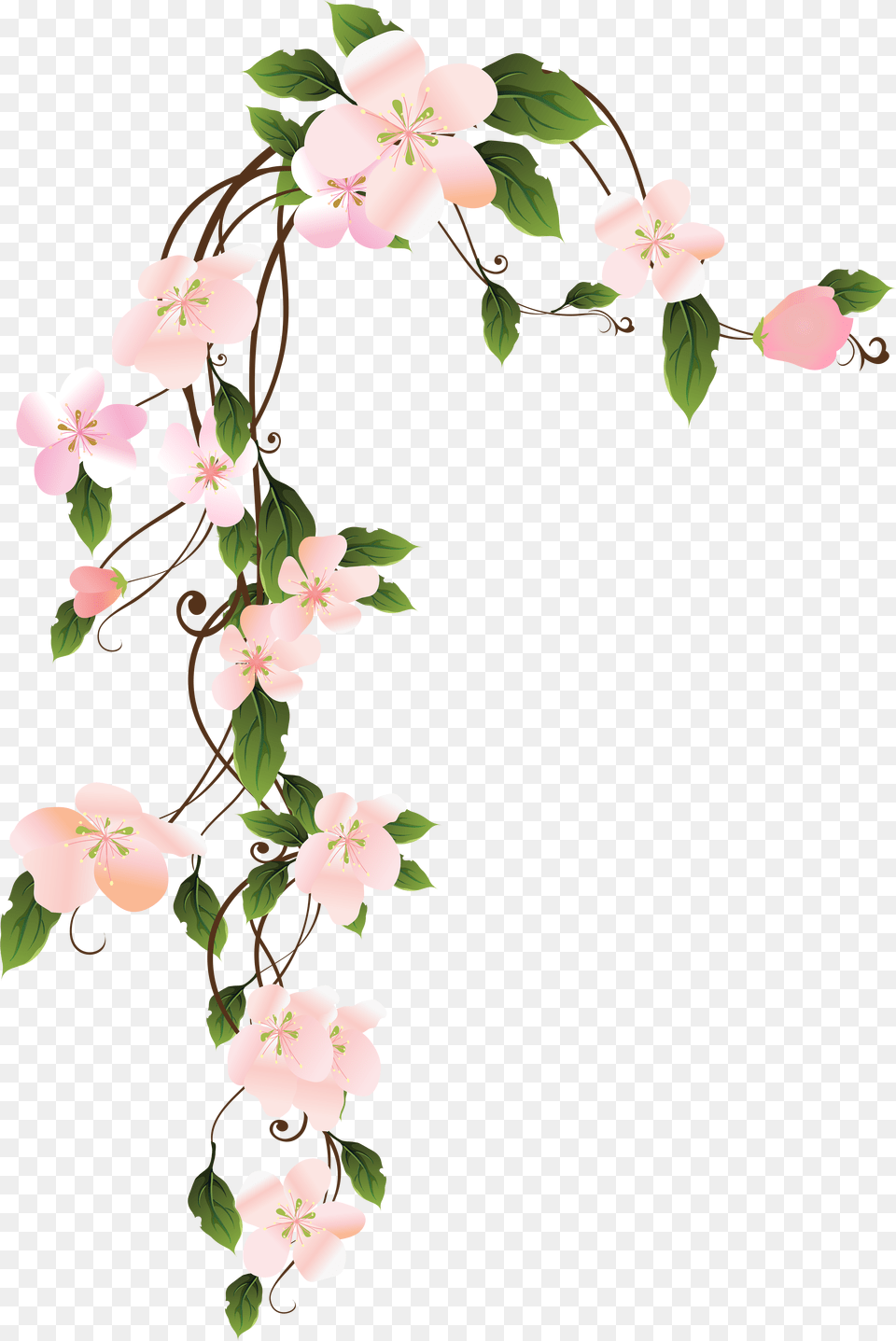 Transparent Hang In There Clipart, Flower, Plant, Art, Floral Design Png