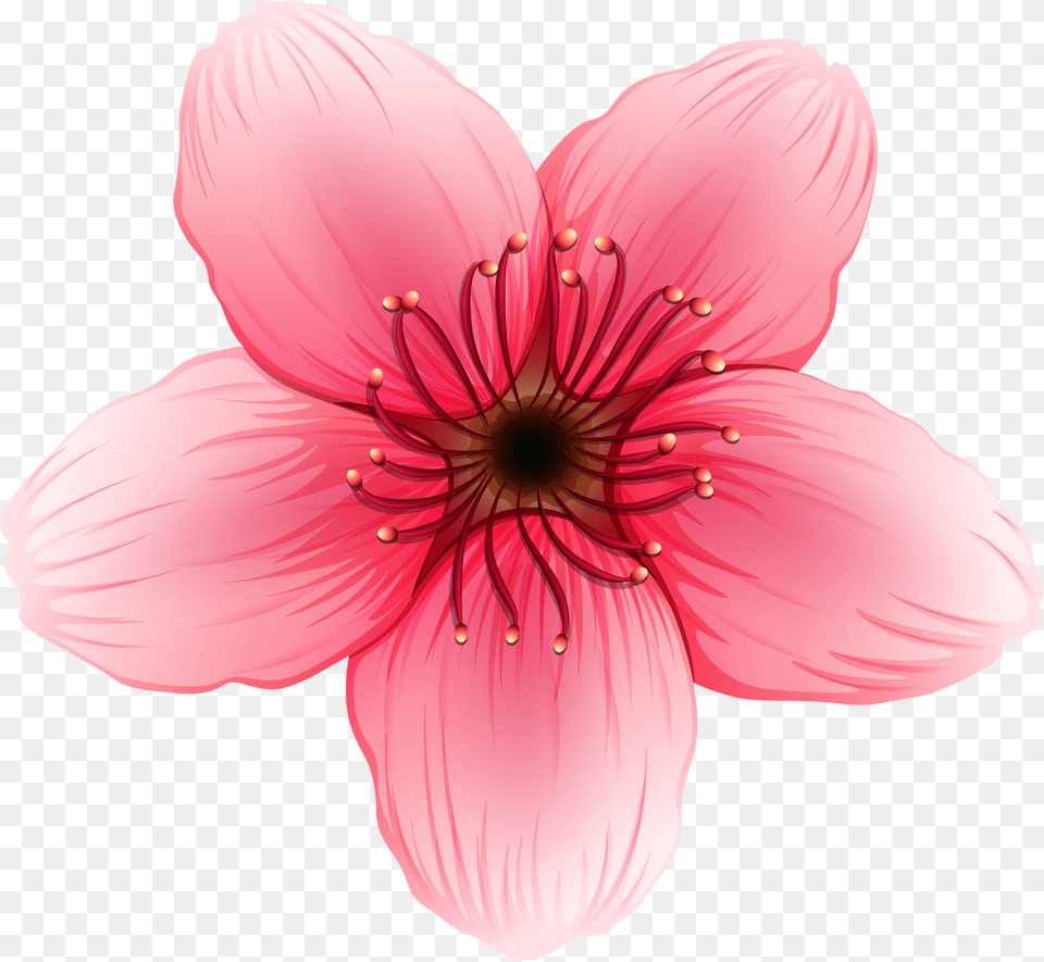 Transparent Hanging Flowers Free Png