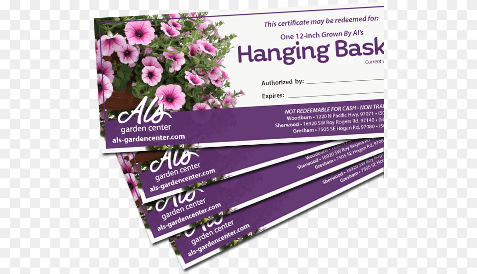 Transparent Hanging Flowers, Advertisement, Poster, Flower, Plant Free Png