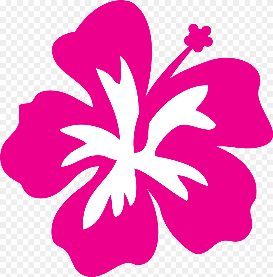 Transparent Hawaiian Flower Hibiscus Flower Clipart, Plant, Person Free Png Download