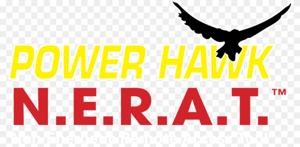 Transparent Hawk Power Hawk Technologies, Animal, Bird, Flying, Pigeon Png