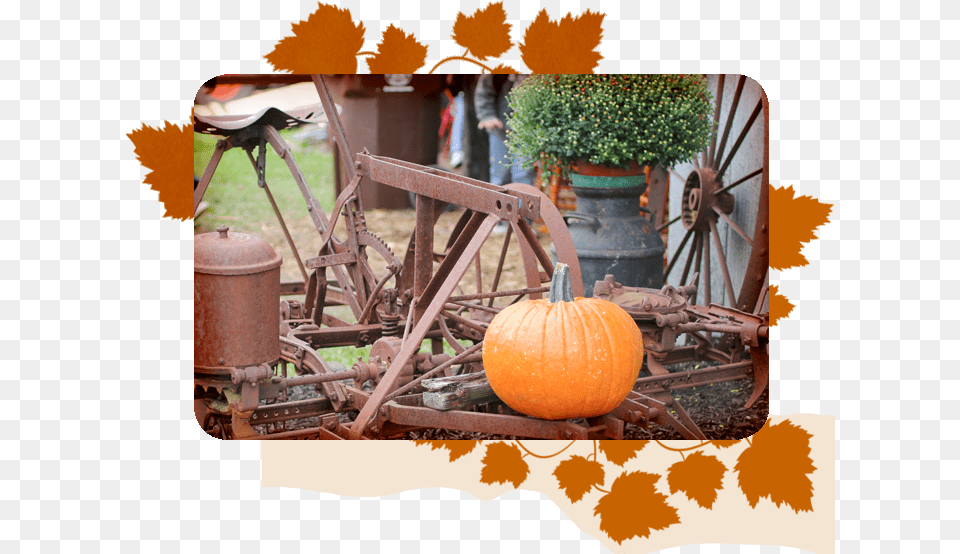 Transparent Hayride Pumpkin, Food, Vegetable, Produce, Plant Free Png