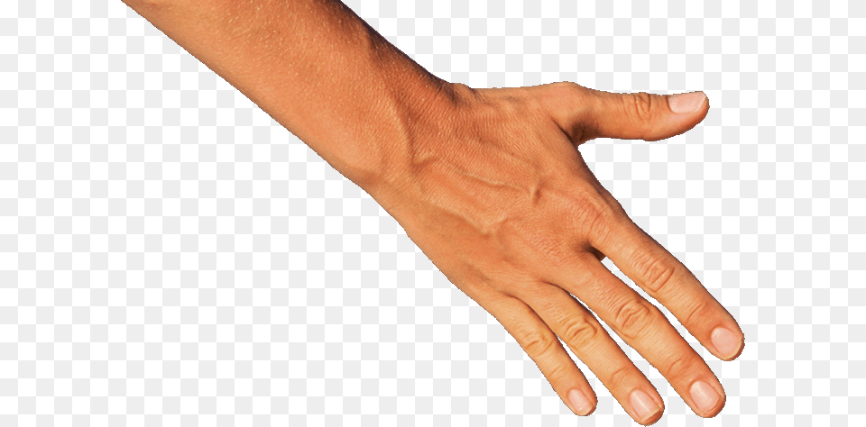 Transparent Helping Hand Arm Hand Transparent, Body Part, Person, Wrist, Baby Free Png