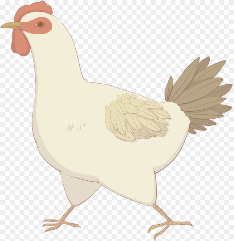 Transparent Hen Chicken, Animal, Bird, Fowl, Poultry Png