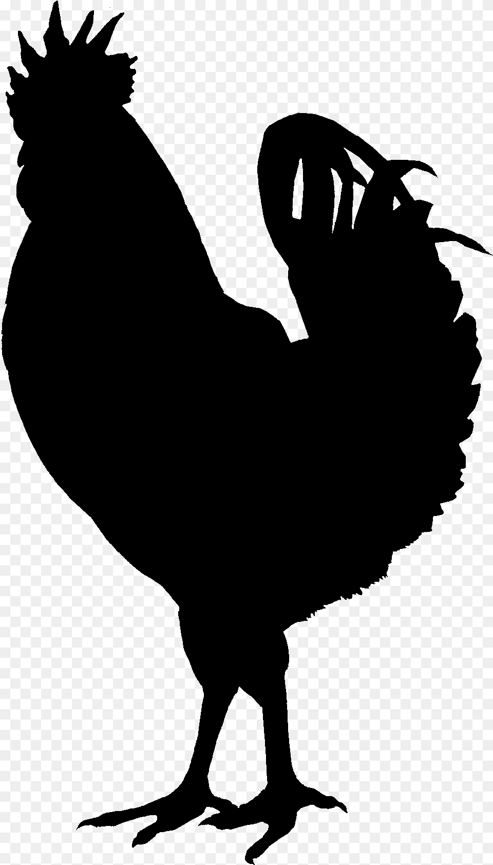 Transparent Hen Clipart Black And White Black Chicken Silhouette Transparent, Gray Png Image
