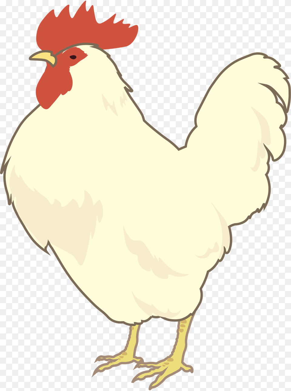 Hen White Leghorn Clipart, Animal, Bird, Fowl, Poultry Free Transparent Png