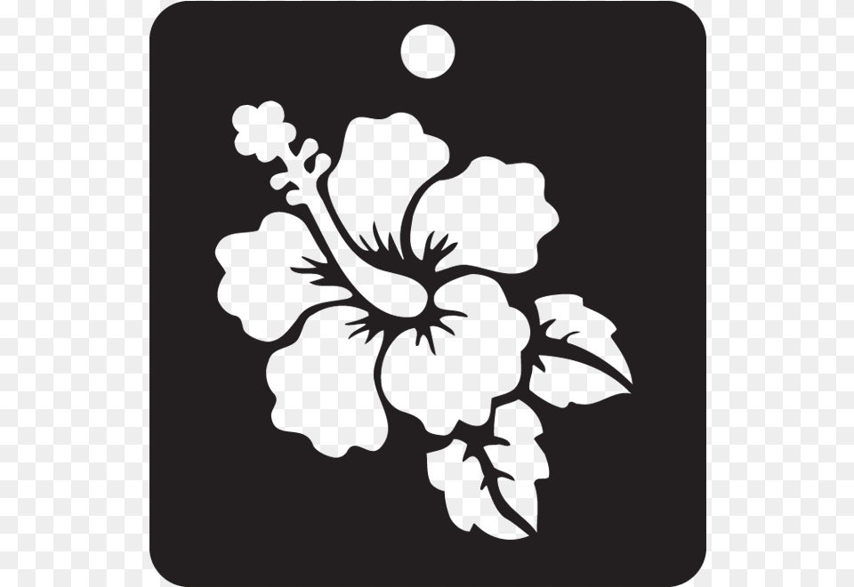 Transparent Hibiscus Chinese Hibiscus, Flower, Plant Png